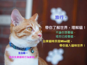 貓咪民宿Mini館-貓行為諮詢